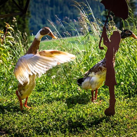 Вилла Gschwandtgut Urlaub Am Bauernhof Schwemmberg Экстерьер фото