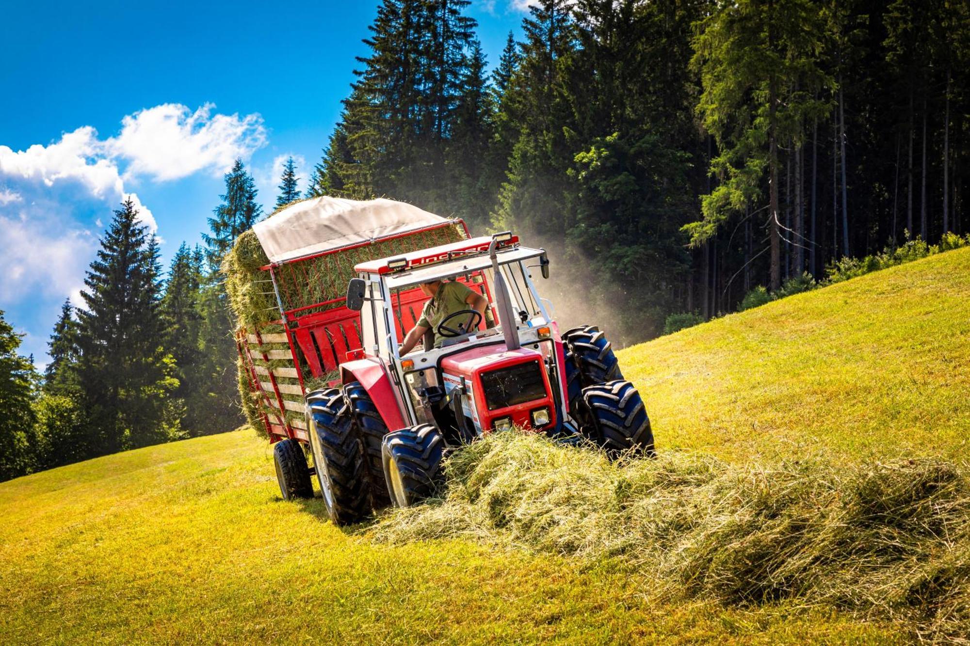 Вилла Gschwandtgut Urlaub Am Bauernhof Schwemmberg Экстерьер фото
